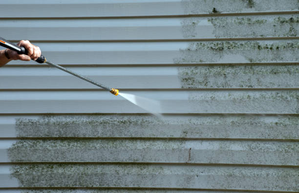 Best Pool Deck Cleaning in Bangor, WI